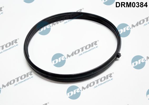 DR.MOTOR AUTOMOTIVE tarpiklis, įsiurbimo kolektorius DRM0384